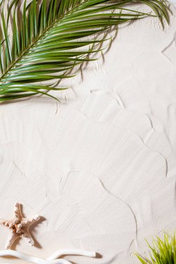 Tropikal plaj Yeşil palmiye yaprağı, bir denizyıldızı ve beyaz bir ağaç dalı beyaz ince kum üzerinde yatıyor. Masaüstü duvar kağıdı.
