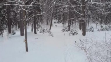Kış ormanı, insanlar yol boyunca yürürler. Karda bir sürü kar, kar yığınları ve ağaçlar