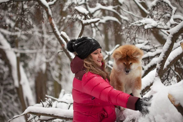 Öğe, dikey, şirin tüylü köpek yavrusu. Bir köpek ile kış yürüyüş. — Stok fotoğraf