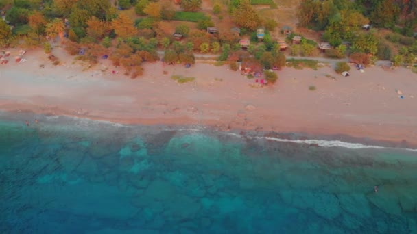 아름다운 해변, 모래사장, 맑은 바다. 해변 근처의 숲 — 비디오