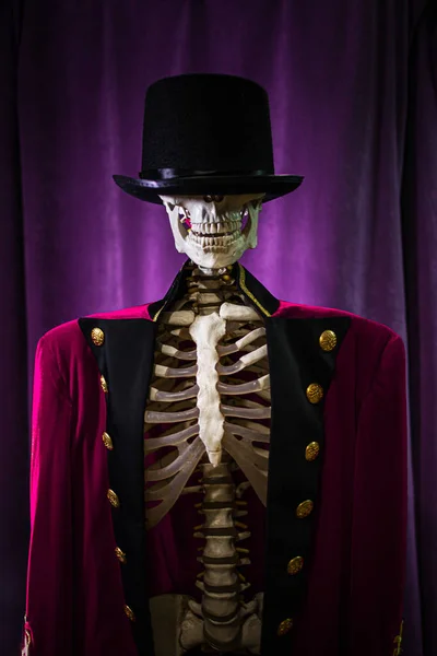 Скелет шоумена в червоній куртці і капелюсі — стокове фото