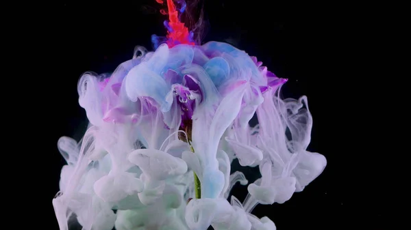 Bloem onder water en plons van gekleurde inkt, heldere kleuren — Stockfoto