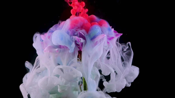 Fleur sous l'eau et éclaboussures d'encre colorée, couleurs vives — Photo