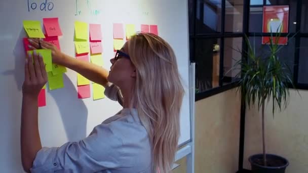 Project management and schedule planning, concept. A young woman — Stock Video