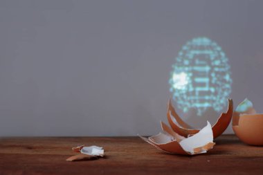Yumurta kabuğu parçaları ve yapay bir yumurtanın hologramı.,