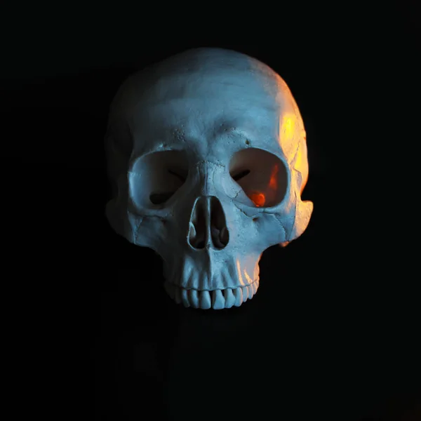 Череп. Людський череп з кольоровим тонуванням. Чорний фон . — стокове фото