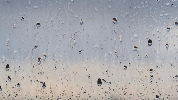 Regndroppar på glaset, himmelens konsistens utanför fönstret, — Stockvideo
