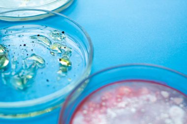 Petri kabındaki virüsler ve bakteriler, laboratuvardaki çeşitli analizler. Viroloji ve virüs araştırması, konsept.