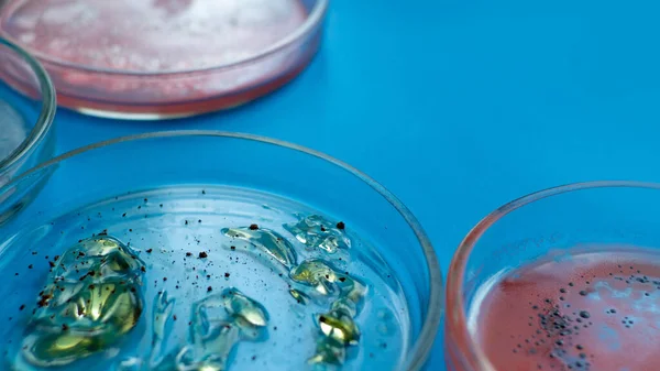 Vírus e bactérias em uma placa de Petri, várias análises no laboratório. Virologia e pesquisa de vírus, conceito. — Fotografia de Stock