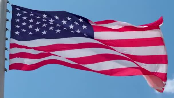 Vlajka USA vlaje ve větru. Národní vlajka proti modré obloze, — Stock video