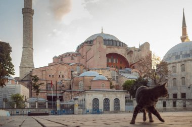 İstanbul 'da Ayasofya, Katedral ve Cami, Müze.