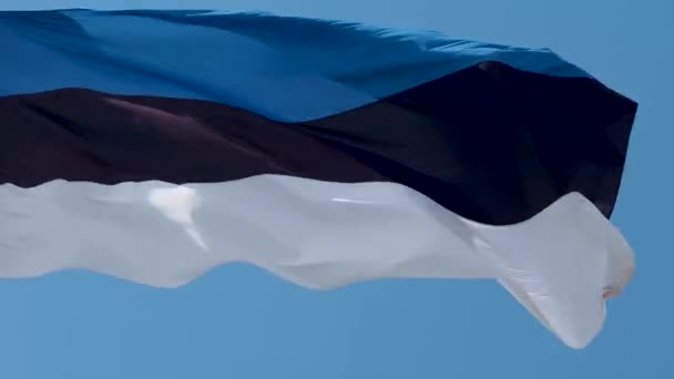 Estlands flagga fladdrar i vinden. Nationell flagga mot en blå himmel, — Stockvideo