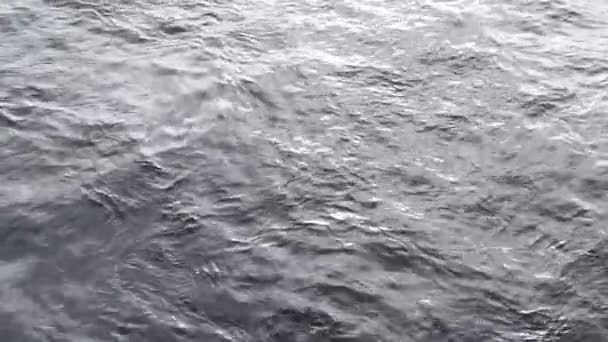 Dark waters, dark surface of a river — Stock Video