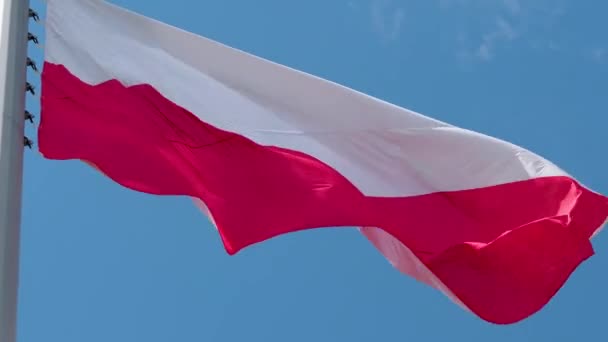 Bandeira polaca a tremer ao vento. Bandeira nacional contra um céu azul, — Vídeo de Stock
