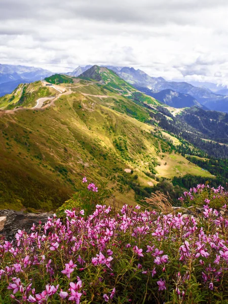 Pohled z vrcholku horského údolí, květiny a tráva v popředí — Stock fotografie
