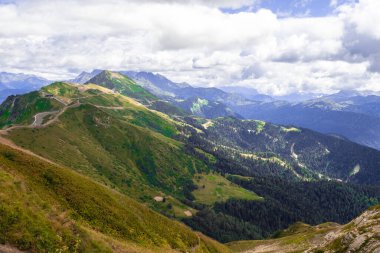 Dağ vadisinin tepesinden manzara, çiçekler ve çimenler ön planda