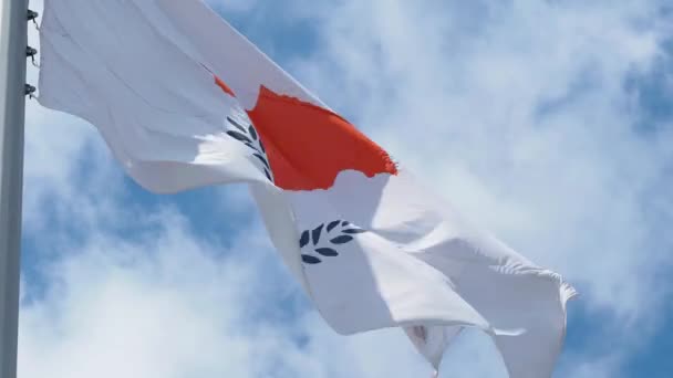 Cyprus vlag wappert in de wind. Nationale vlag tegen een blauwe lucht, — Stockvideo