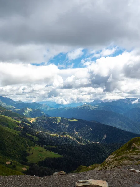 Vista dall'alto della valle, fiori ed erba in primo piano — Foto Stock