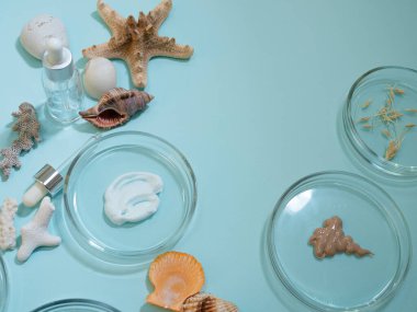 Çevre dostu kozmetik ürünler, bir dizi malzeme ve şişe.