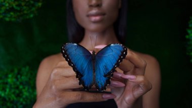 Genç ve güzel siyah model egzotik görünümlü parlak mavi kelebek