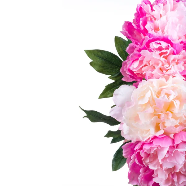 Top view of beautiful pink peony flowers with large buds. Beautiful pink and white spring flowers. Summer flowers with big petals. — Stock Image Top View Beautiful Pink Peony Flowers Large Buds Beautiful Pink Royalty Free Stock Photos