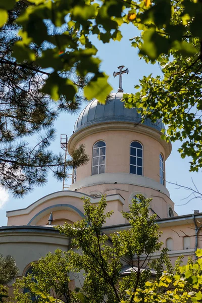 Купол Церкви Видом Крест Сквозь Зеленые Ветви Дерева — стоковое фото