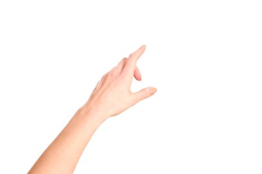 Kadın eli sanal ekrana dokunuyor. Beyazda izole edilmiş.