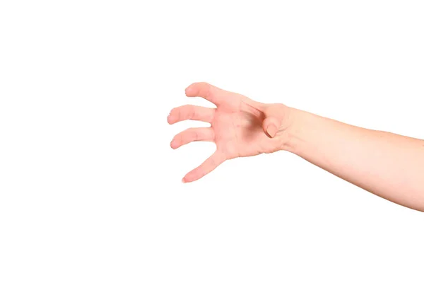 Leere Offene Hand Isoliert Auf Weißem Hintergrund — Stockfoto