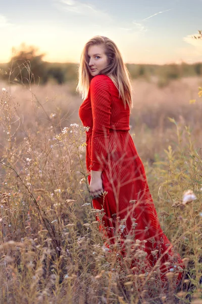 Portret van een mooi meisje in het veld. — Stockfoto