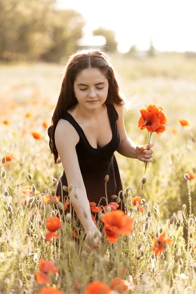 Coucher Soleil Champ Pavot Une Jeune Femme Recueille Bouquet Coquelicots — Photo