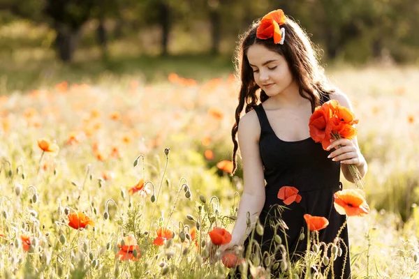 Mujer Joven Recoge Flores Rojas Campo Amapola —  Fotos de Stock