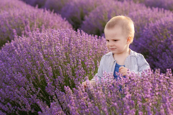 Glad Pojke Lavendel Sommarfält — Stockfoto