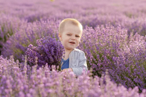 Känslomässig Pojke Leker Lavendelfältet Vid Solnedgången — Stockfoto