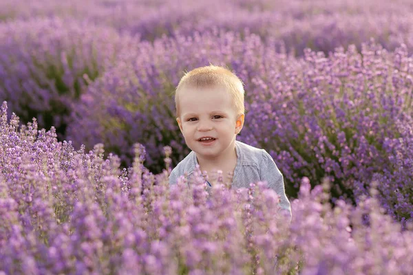 Känslomässig Pojke Leker Lavendelfältet Vid Solnedgången — Stockfoto