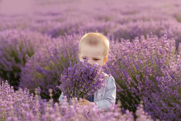 Emotionaler Junge Spielt Lavendelfeld Bei Sonnenuntergang — Stockfoto