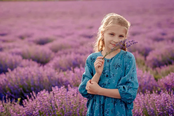 Lavanta Tarlasında Bir Demet Lavanta Ile Güzel Bir Kız — Stok fotoğraf