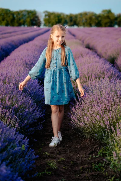 美丽快乐的姑娘在薰衣草地里散步 — 图库照片