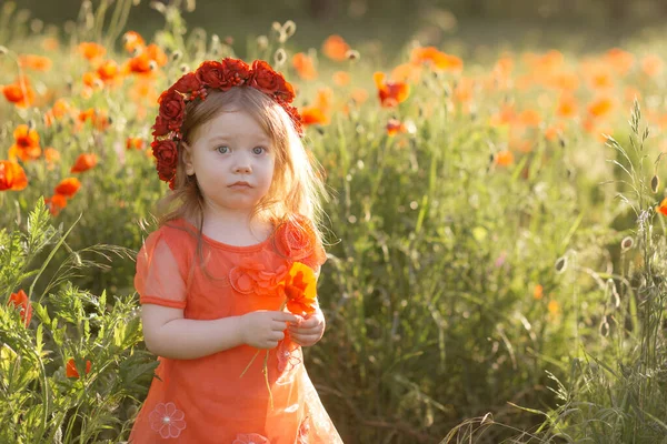 美しい健康的な薄いCaucasian女の子で白い夏のドレスとともにケシの花で緑のフィールド — ストック写真