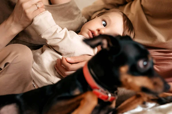 Сімейне Щастя Дитина Грає Батьками Собакою — стокове фото