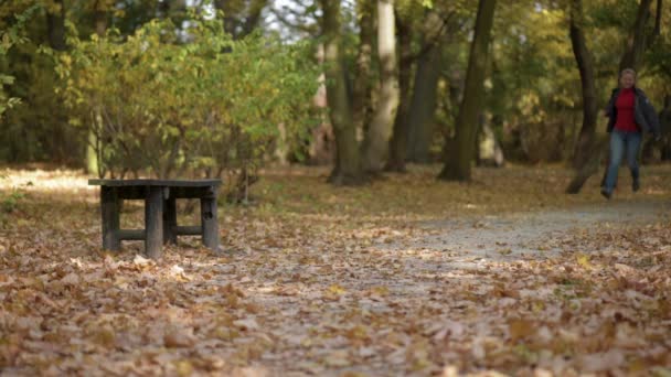 Frau mit Hund im Park — Stockvideo