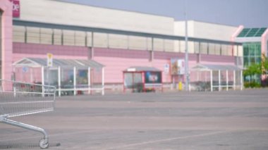 Mutlu aile alışveriş sepetleri ile