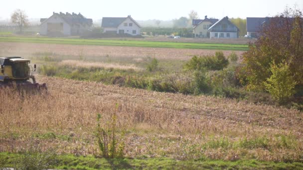 Жатка комбайна збір кукурудзи — стокове відео