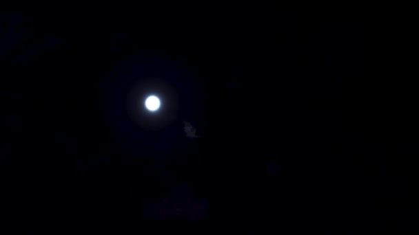 Tid förflutit månen på natten — Stockvideo