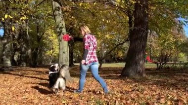 kadın ile köpek parkı