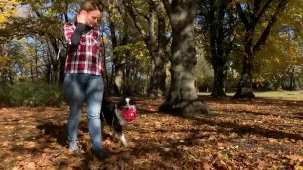 Mujer con perro en el parque — Vídeos de Stock