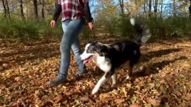kadın ile köpek parkı