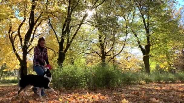 Mujer con perro en el parque — Vídeos de Stock