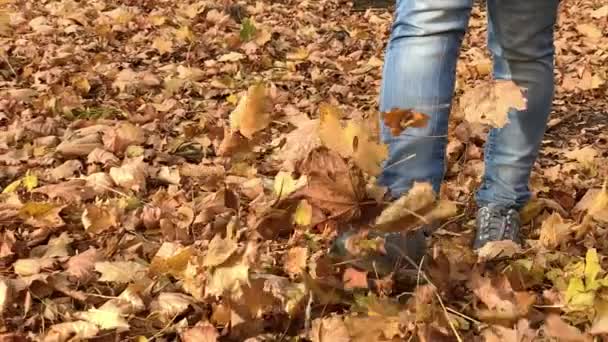 Kobieta nogi spaceru w parku jesień — Wideo stockowe