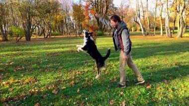 adam köpek parkı