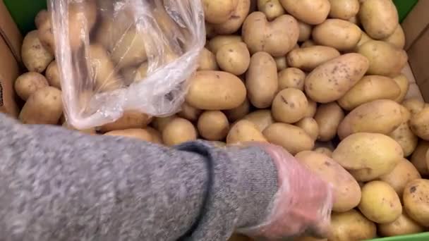 Мужские руки кладут картошку — стоковое видео